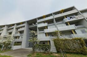 イエローフラット