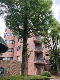 トリニティ・ヴァローレ