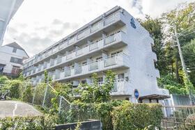 トップ成増第三