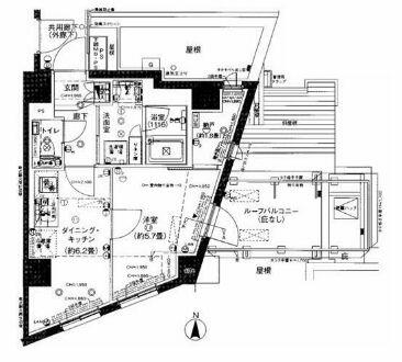 同じ建物の物件間取り写真 - ID:213105039516