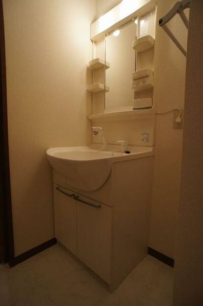 画像8:大型洗面ボールタイプの独立洗面化粧台。シャワーヘッドタイプ水栓です。
