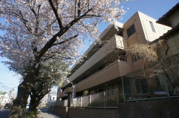 画像4:物件名は、建物前の桜並木道にちなんで命名しました。春先は玄関を開けると満開の桜が楽しめます。