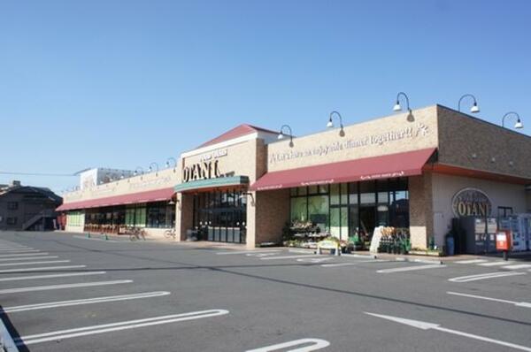 画像5:■周辺施設■　スーパーのフードオアシスオータニ平松店まで徒歩８分（５８０ｍ）！