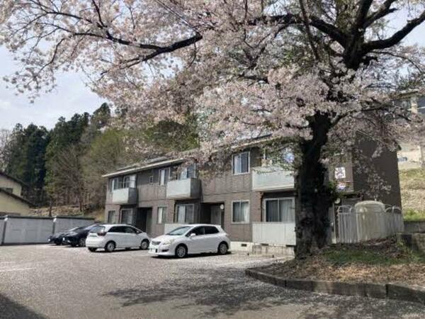 画像16:敷地内の桜