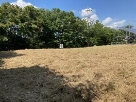 千葉県成田市津富浦