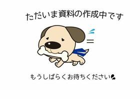 佐賀県佐賀市川副町大字犬井道