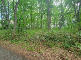 長野県上水内郡信濃町大字大井