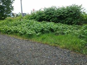 北海道岩見沢市二条東６丁目