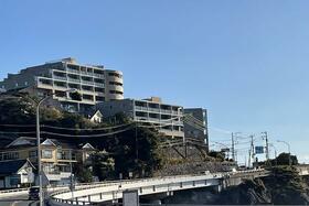 アデニウム真鶴