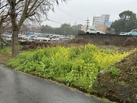 福岡県久留米市上津町