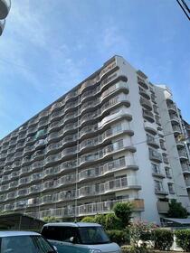 エバーグリーン金岡四号棟