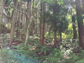 岐阜県高山市荘川町六厩