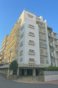 東京都練馬区練馬4丁目