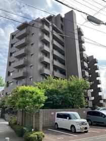 サーパス道後上市