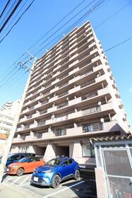 セイフテック表参道