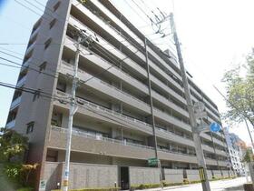 サーパス中の島桜通り