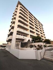 アルファステイツ木太