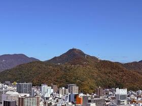 ザ・ライオンズ一条タワー岐阜