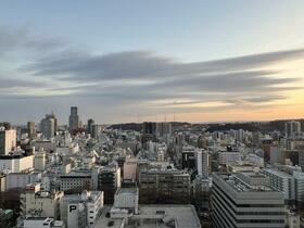 ザ・ライオンズ定禅寺タワー