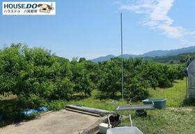 大阪府南河内郡河南町大字中