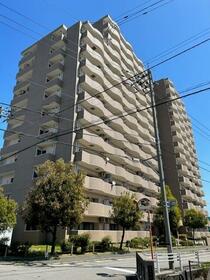 ロイヤルシャトー泉本町