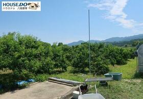 大阪府南河内郡河南町大字中