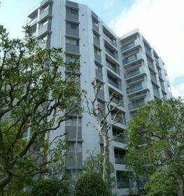 デュオ・スカーラ大島