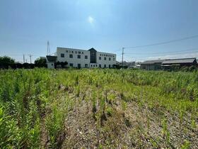 愛知県豊橋市前芝町字西青