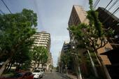 大阪市中央区島町１丁目 12階建 築24年のイメージ
