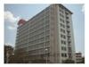 桂川ハイツ４号館 1階 築60年5ヶ月の賃貸物件