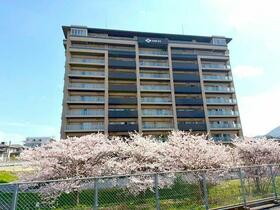 サンライフ企救丘駅南　マンション　志井小・志徳中学校