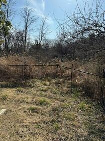 宮城県石巻市蛇田字土和田山