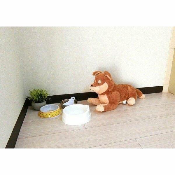 apartment 茨城県稲敷市高田
高田の賃貸情報を見る
物件地図