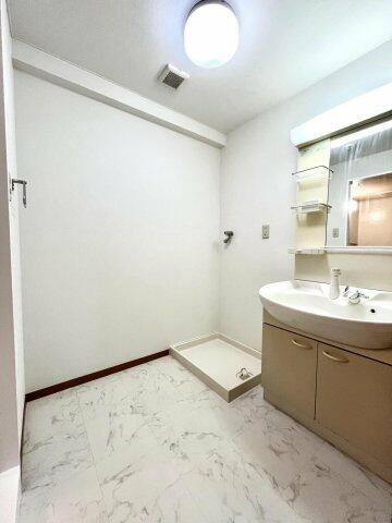 画像11:シャワー付独立洗面台のある清潔感ある空間