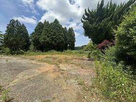 石川県羽咋郡志賀町田中