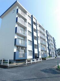 井堀南団地３棟