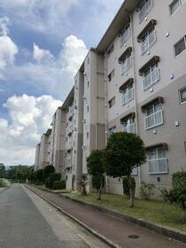 清和台住宅団地　１３号棟