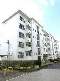 泉北槇塚台住宅五号棟