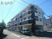 チェルシーのイメージ