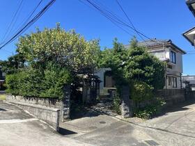 熊本県天草市亀場町亀川