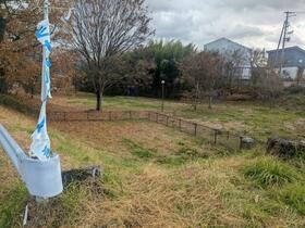 長野県中野市大字草間