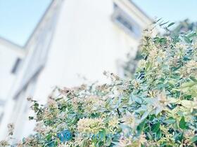 東京都杉並区桃井１丁目