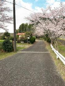 千葉県千葉市緑区大椎町