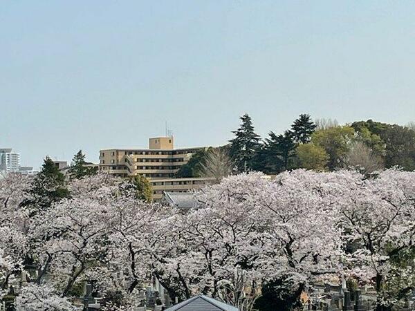 東京都豊島区巣鴨５丁目(賃貸マンション1R・5階・25.00㎡)の写真 その10