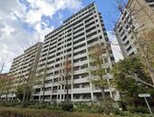 神戸市東灘区向洋町中５丁目 15階建 築37年のイメージ