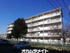 高津団地6街区16棟 2階 築54年5ヶ月の賃貸物件