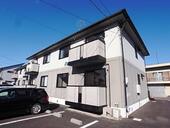 ＥＶＥＲ　ＧＲＥＥＮのイメージ