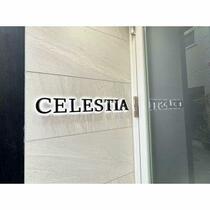 ＣＥＬＥＳＴＩＡ  ｜ 東京都千代田区神田多町２丁目（賃貸マンション1LDK・8階・67.37㎡） その5