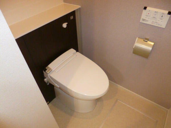 画像10:トイレ同物件別部屋写真です