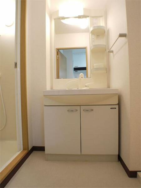 画像11:洗面脱衣室にはシャワードレッサー＆室内洗濯機置き場を完備！